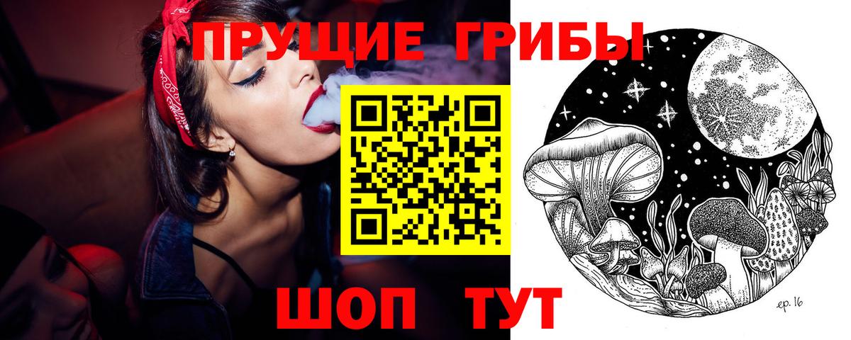 Галлюциногенные грибы Psilocybe  Вход с VPN  даркнет сайт  Кировск 